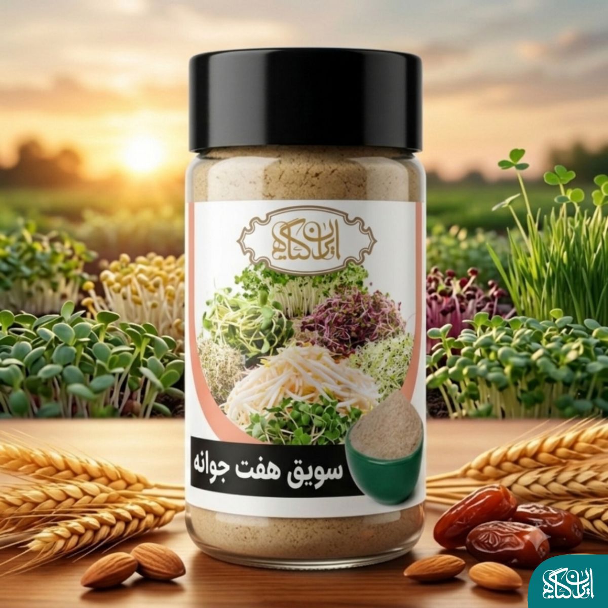 سویق هفت جوانه ایران گیاه