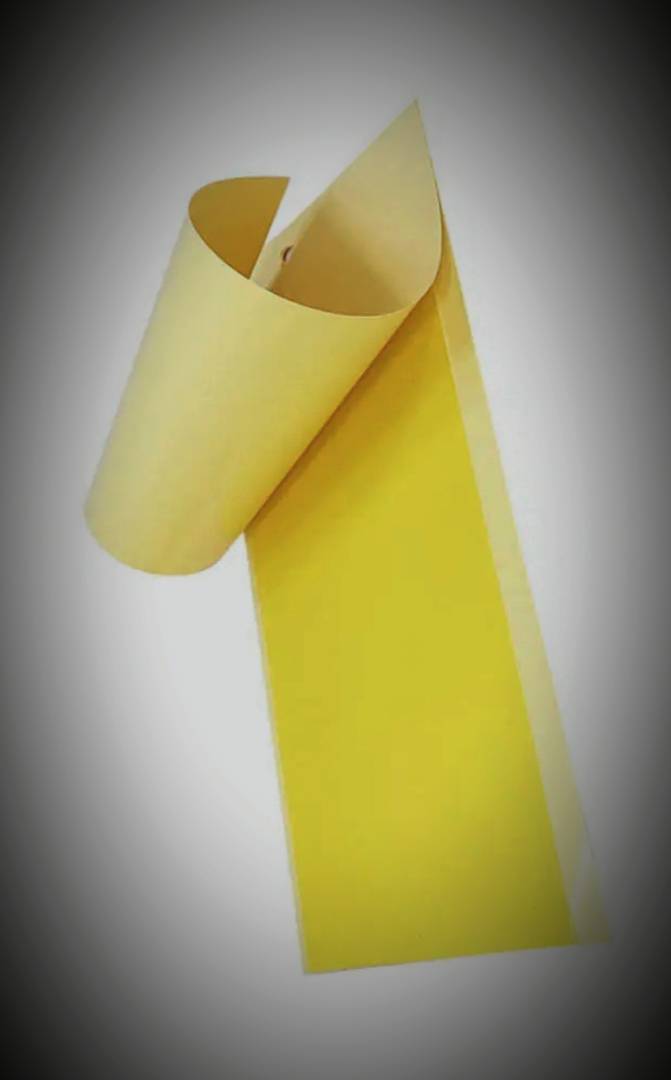 چسب زرد حشره