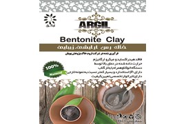 ماسک خاک رس آرایشی ارگیل